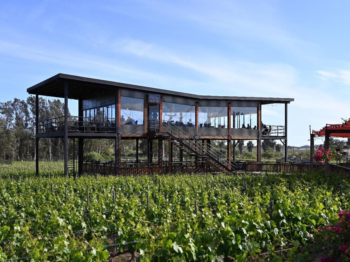 Don Tomas Vinedo Cabanas Valle de Guadalupe Kültér fotó