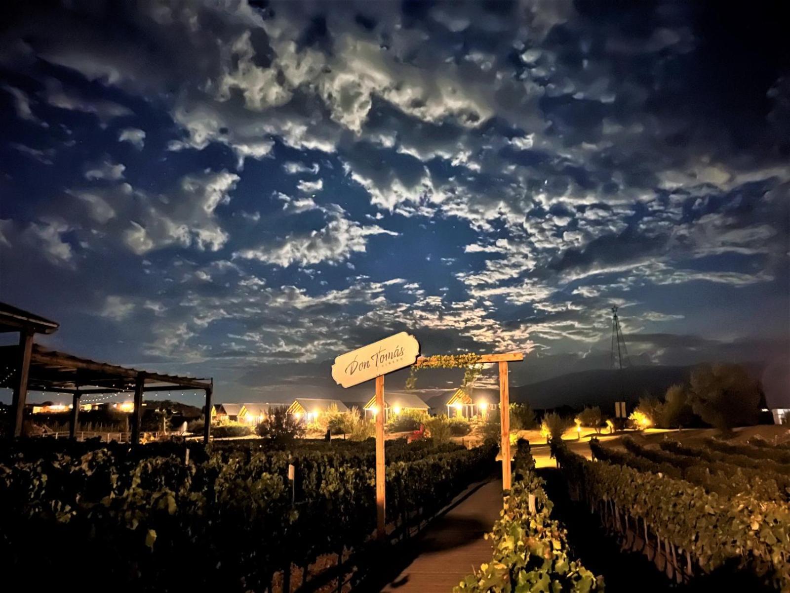 Don Tomas Vinedo Cabanas Valle de Guadalupe Kültér fotó