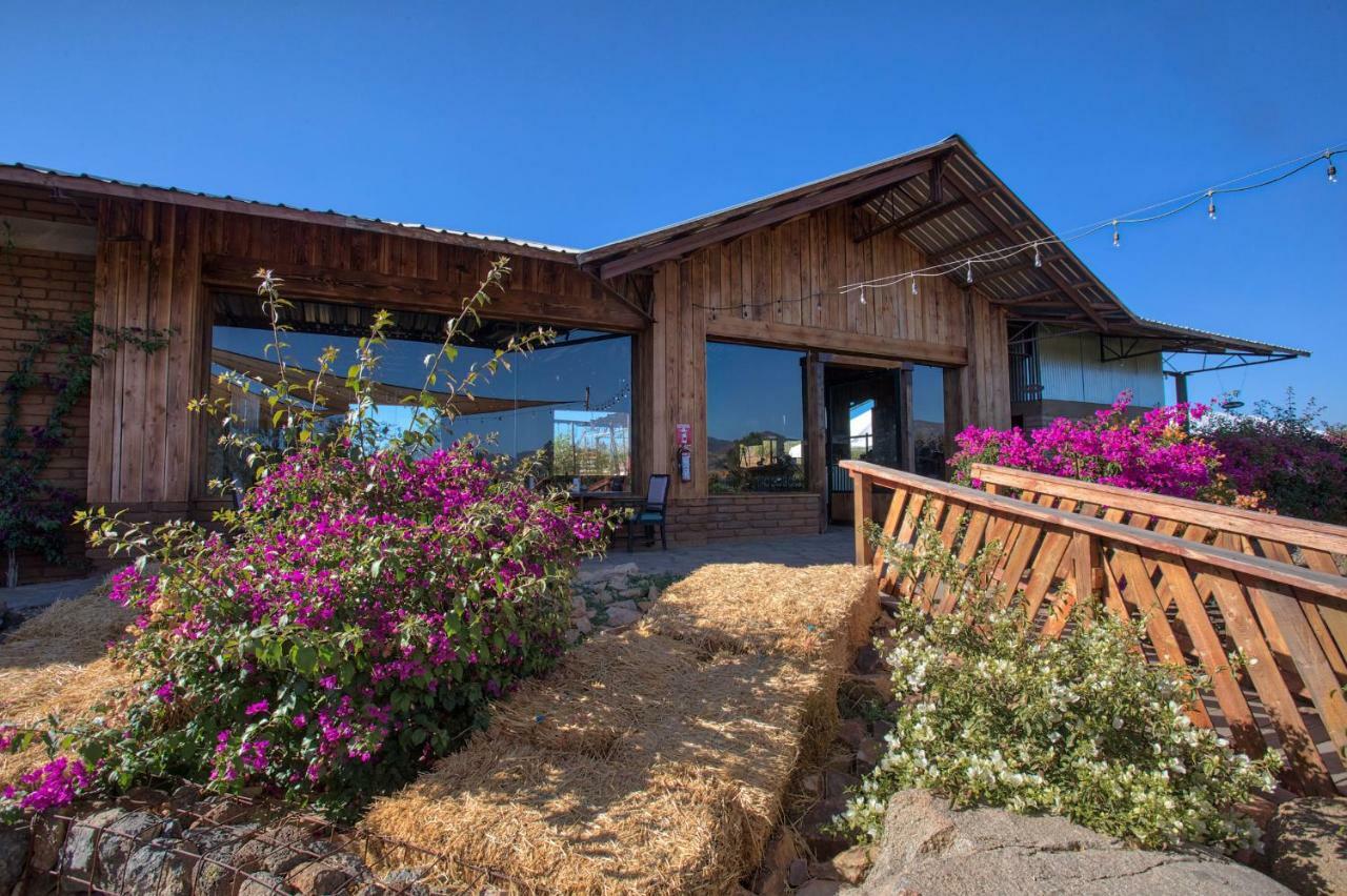 Don Tomas Vinedo Cabanas Valle de Guadalupe Kültér fotó